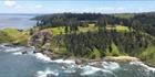 Shearwater - Norfolk Island (PBH4 00 18961)